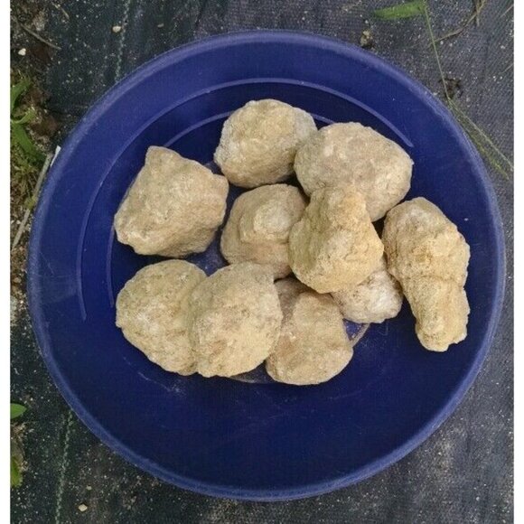 1 lb Break Your Own Whole Moroccan Tracas Quartz Crystal Geodes Sparkle Crack - Picture 3 of 3